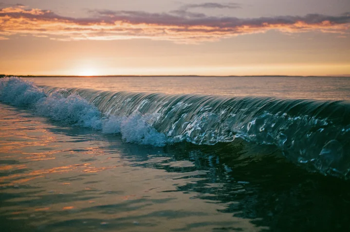 A wave curling at sunset